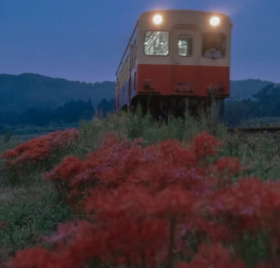 黄昏虽在，但少年已经离开了。