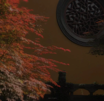 黄昏虽在，但少年已经离开了。