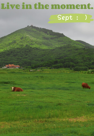 自己拍自己修的旅途风景