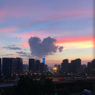 花儿盛开，景色宜人