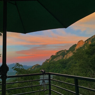 花儿盛开，景色宜人