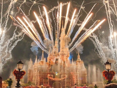 花儿盛开，景色宜人