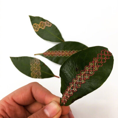 树叶刺绣，艺术家 Hillary Waters Fayle。