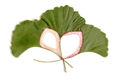 树叶刺绣，艺术家 Hillary Waters Fayle。