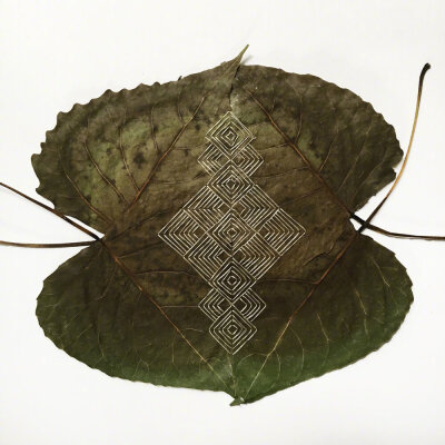 树叶刺绣，艺术家 Hillary Waters Fayle。