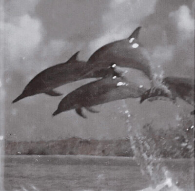 -朴秀荣☆金艺琳-
◎「噓，遊戲開始了」
全員惡人
p4©Seulrene_HK