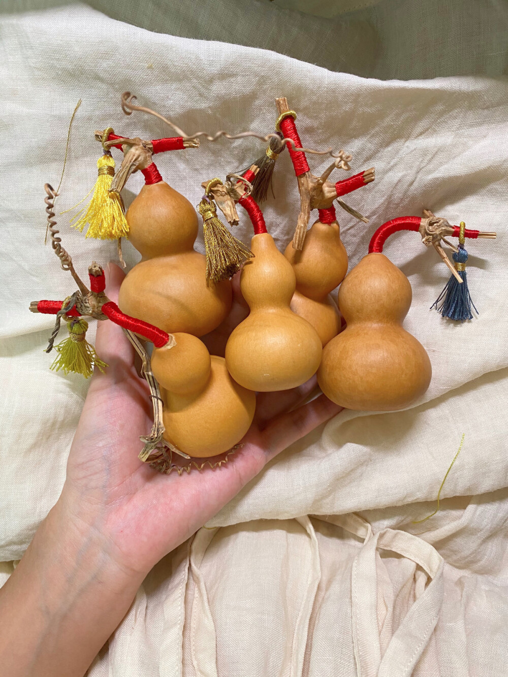 大梨子和小胖墩儿 多须龙和电风扇
我真是个起名天才