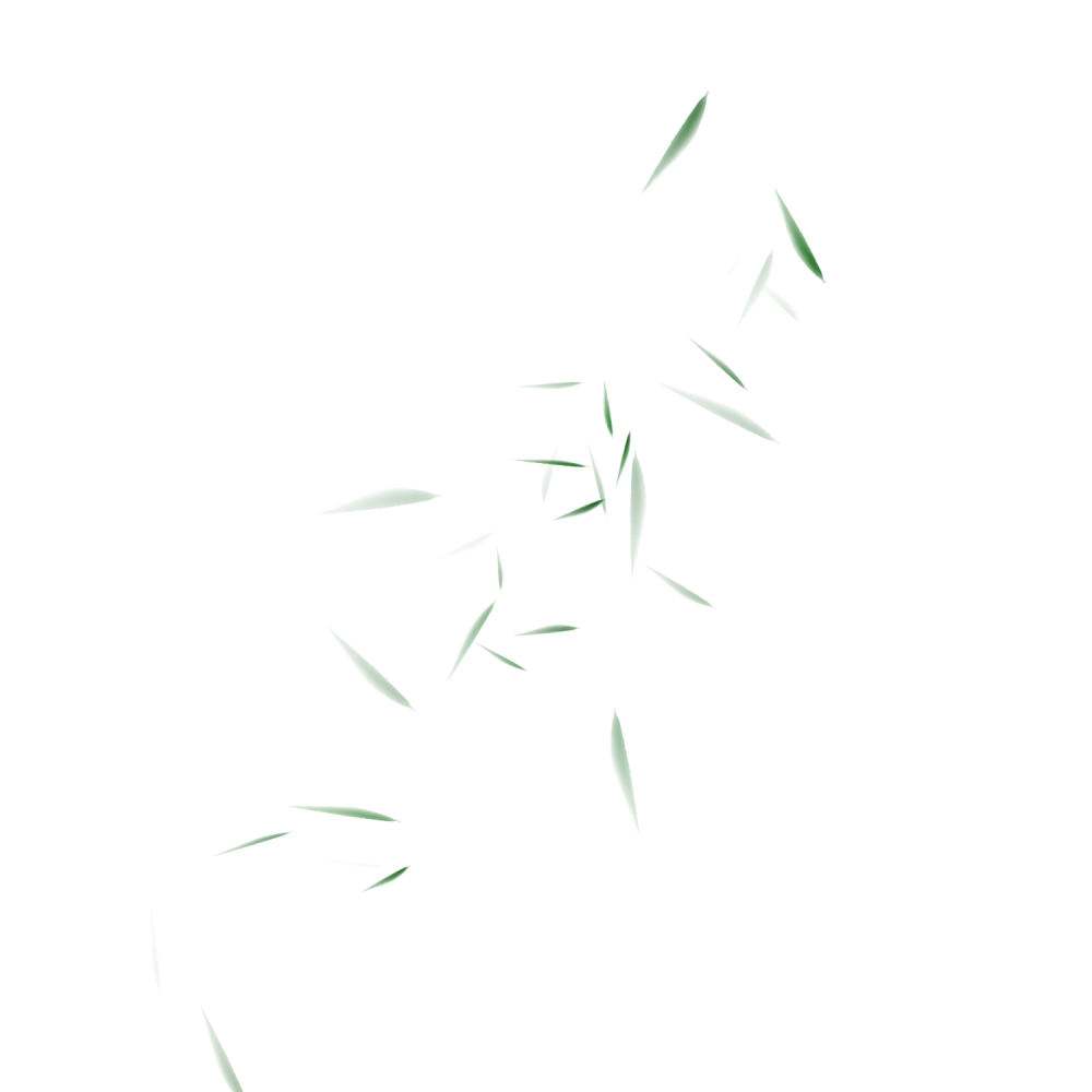 杂