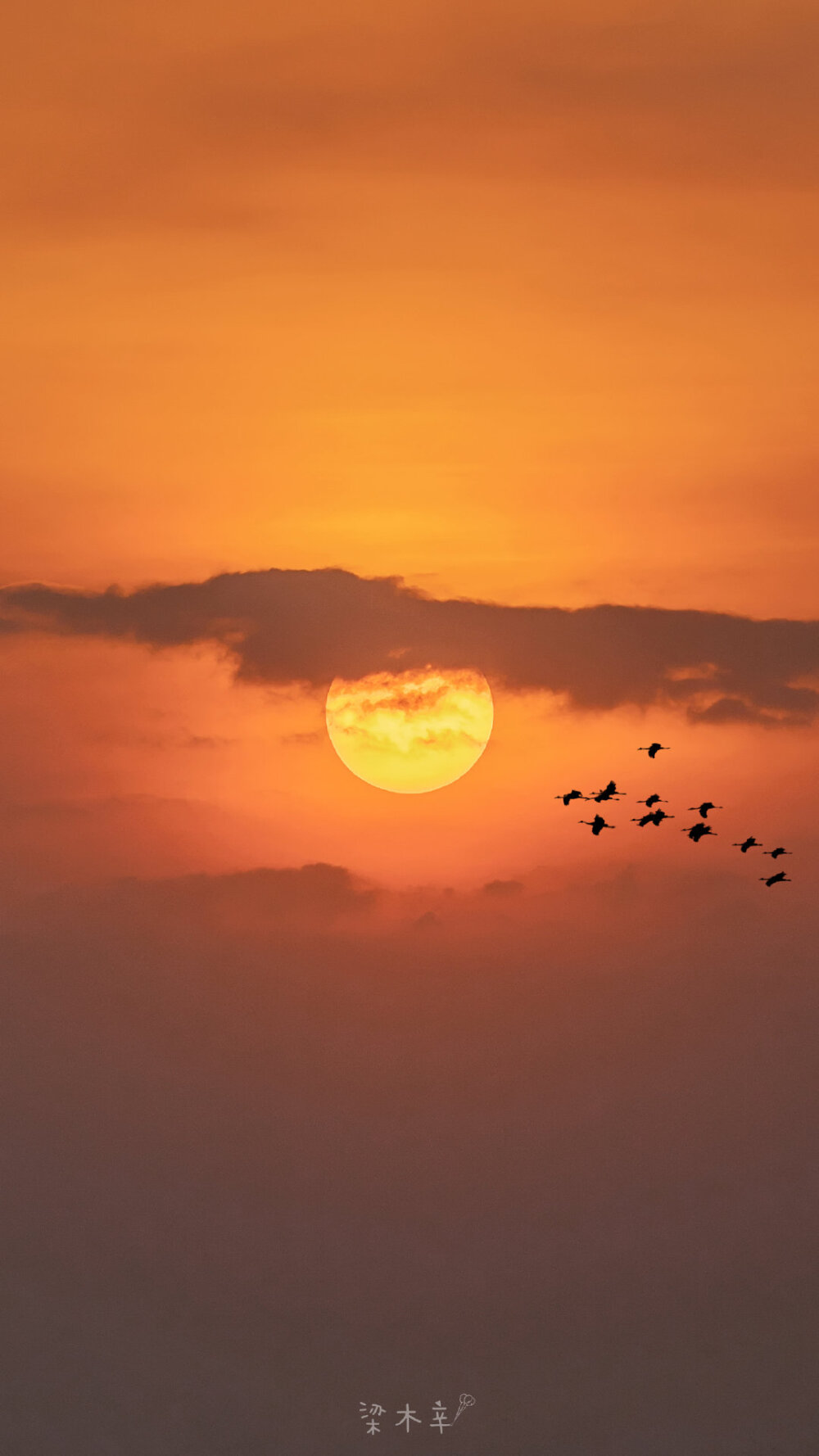 天空壁纸
图源：VSCO色调 官方微博
侵删致歉