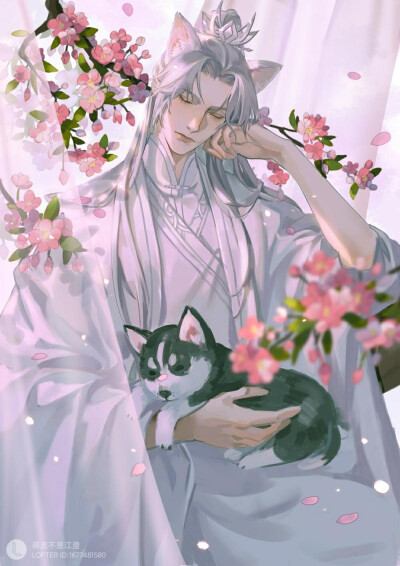 二哈和他的白猫师尊