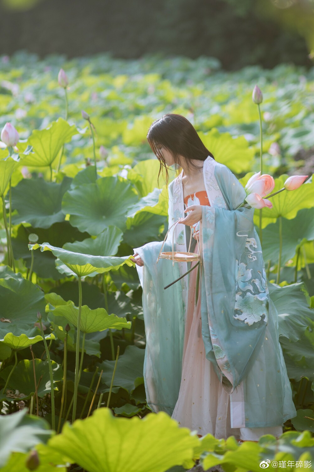 #南京约拍#
柳下初啼鸟，娇荷犹未凋。
摄影后期:@瑾年碎影
化妆造型@肆肆是大名
出镜@橘一颗_
服装:@有香如故汉服 ​​​