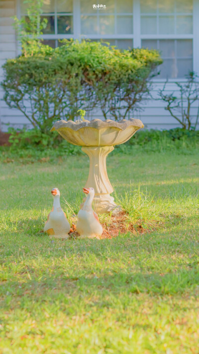 壁纸，但不知道作者大大。