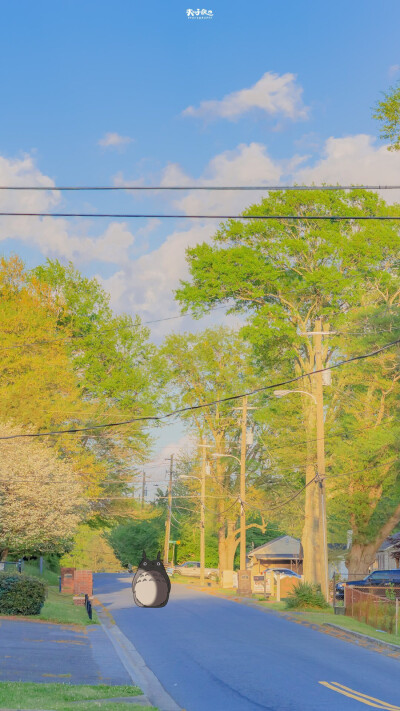 壁纸，但不知道作者大大。