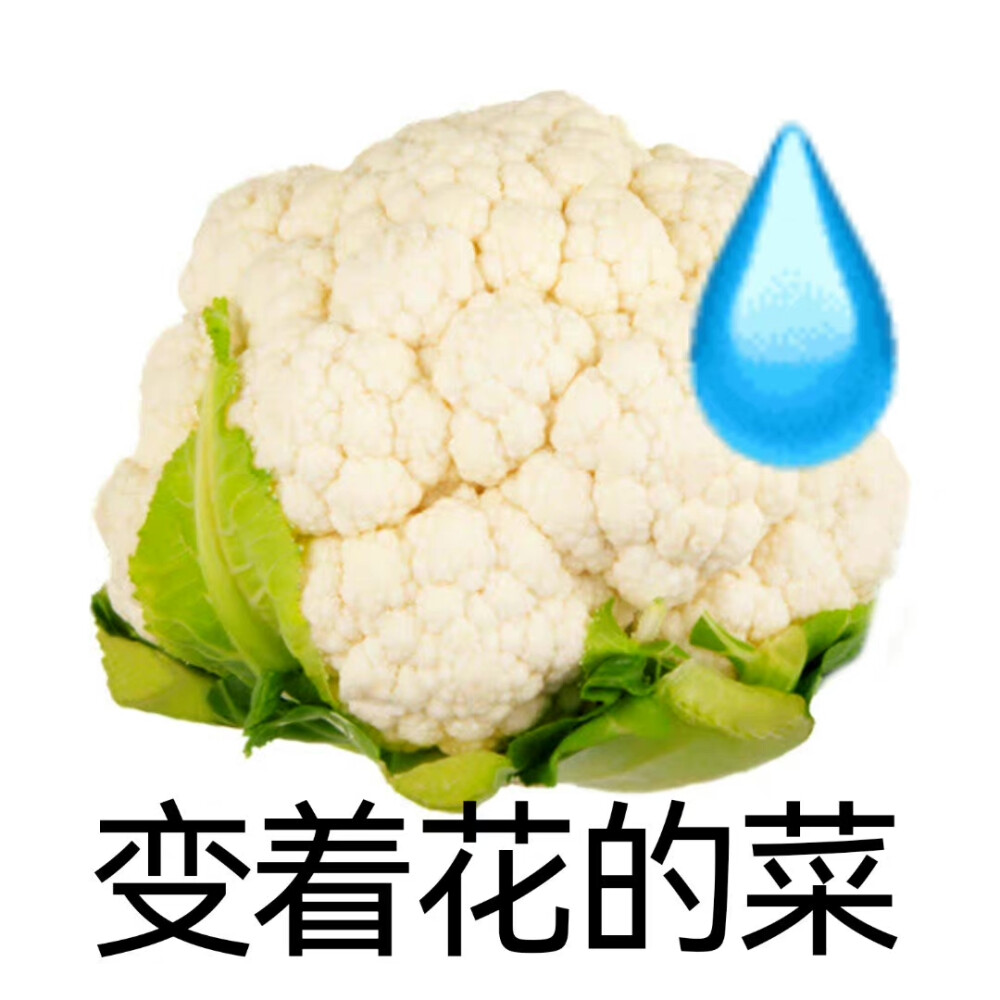 无语表情包
cr草莓味二喵