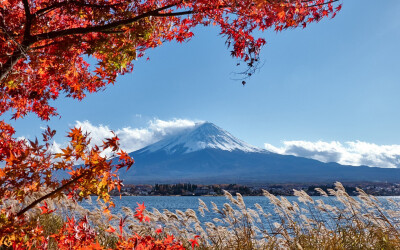 秋景