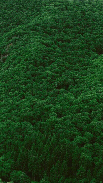 山川草木