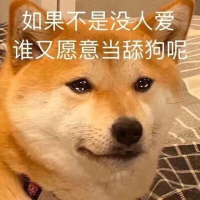 表情包
权侵删