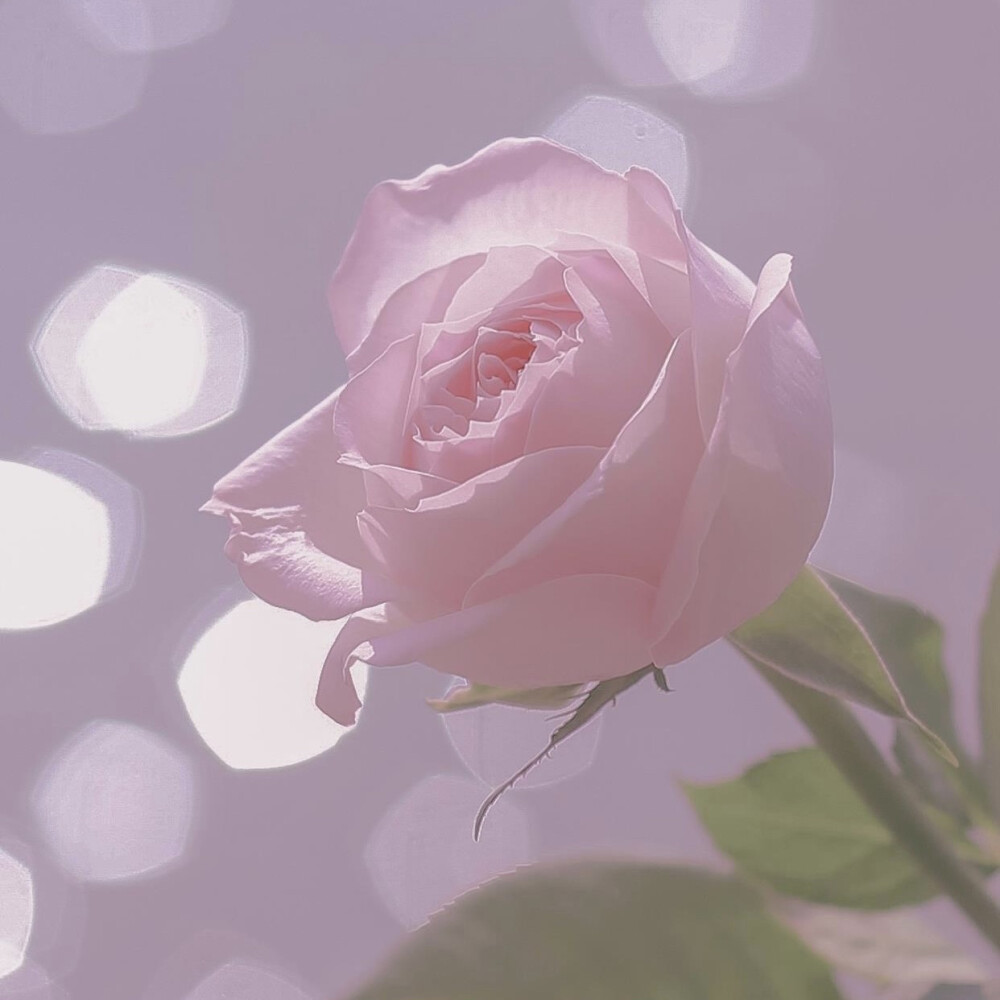 堆糖一婉（朋友圈背景图）
不知原作 取之网络 侵权删并致歉。