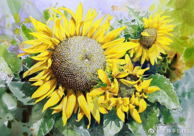 水彩向日葵系列~ by.shin_jongsik 