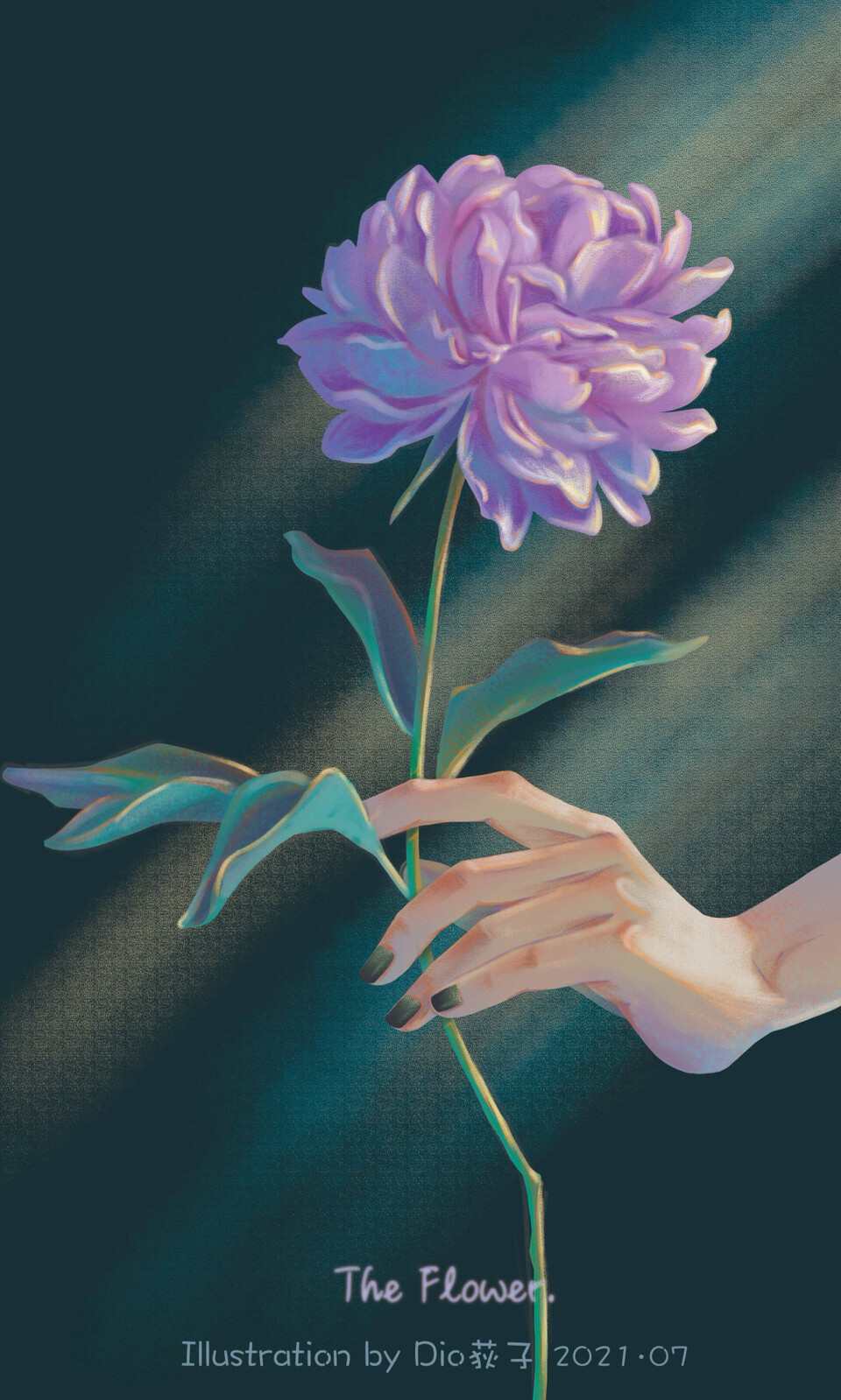 一些作品