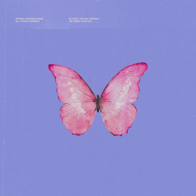 音乐专辑封面/butterflies