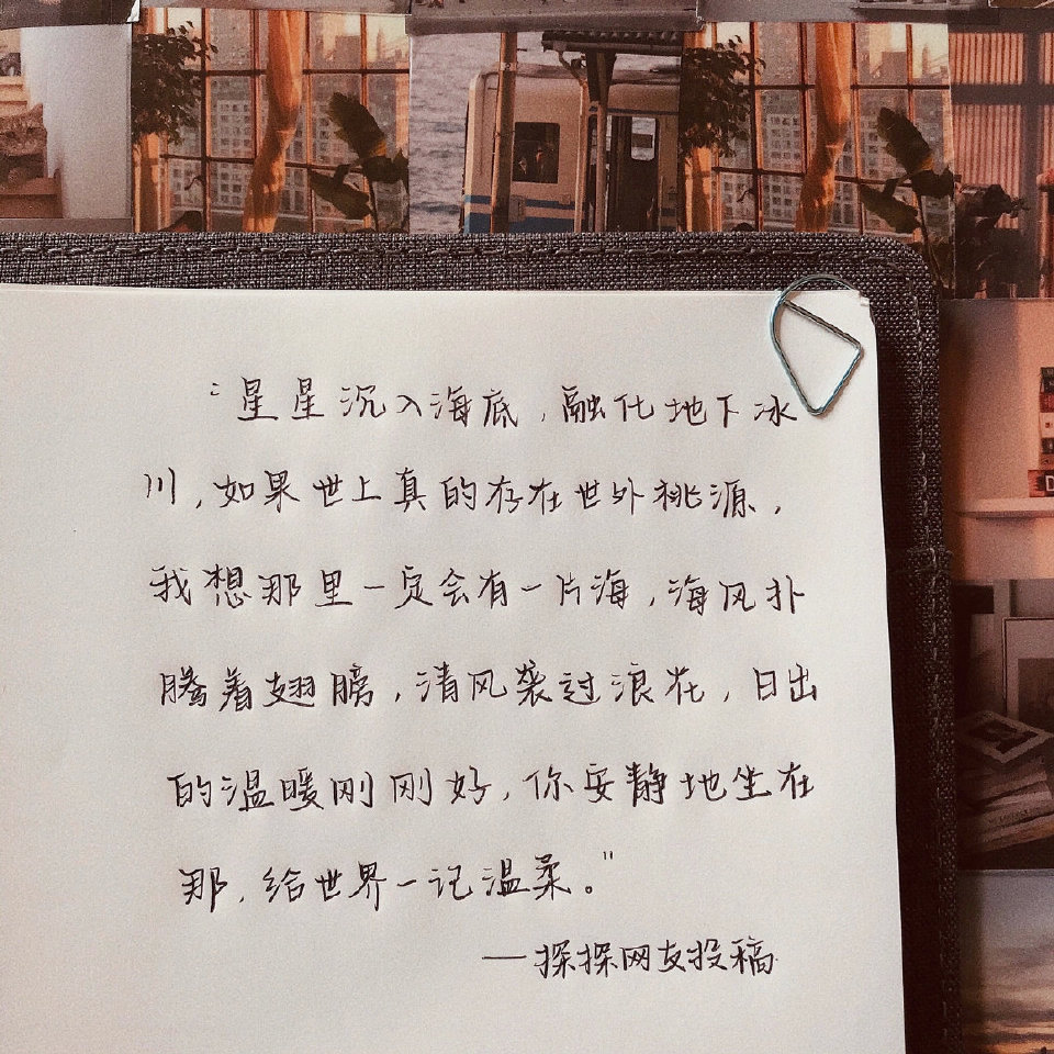 情书
长满了玫瑰 岩石 篝火 和婚纱❤️