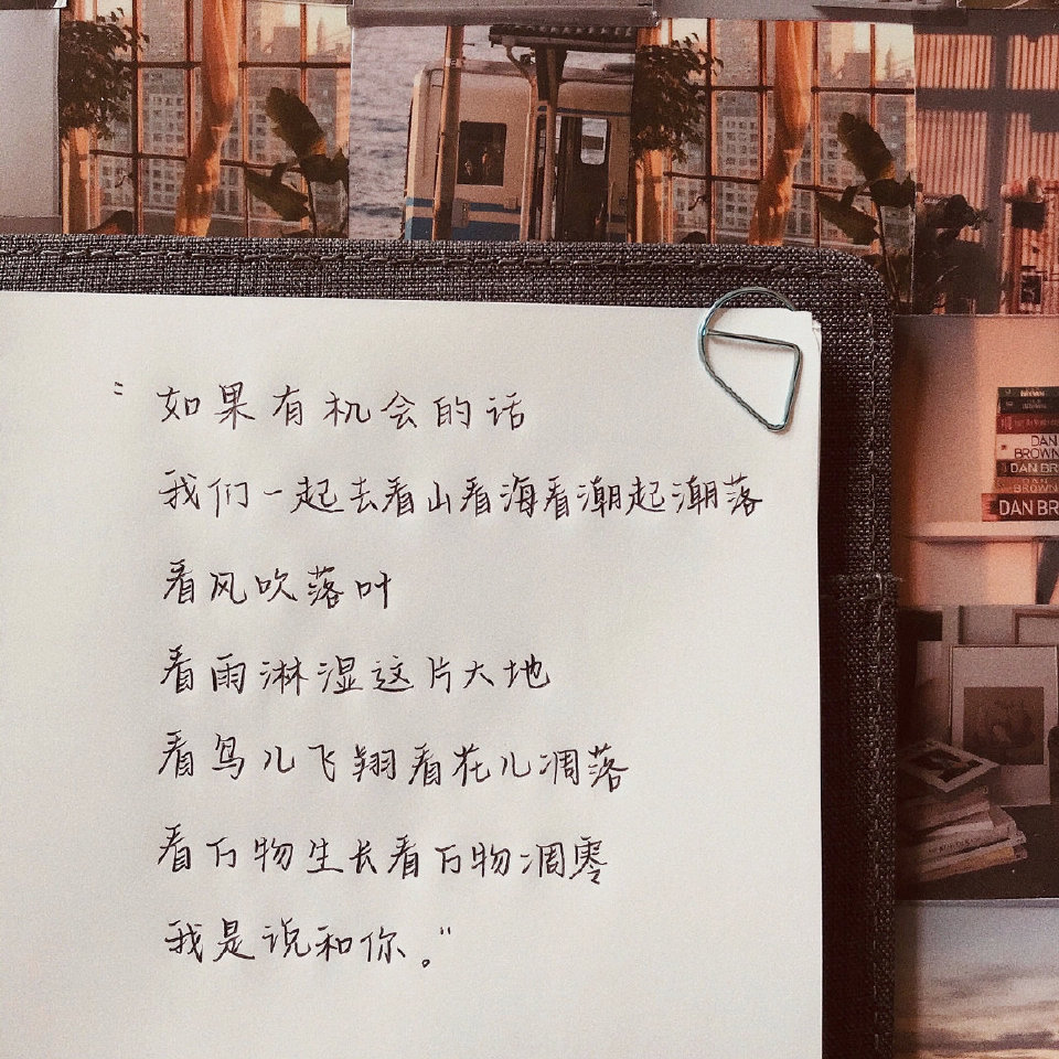 情书
长满了玫瑰 岩石 篝火 和婚纱❤️