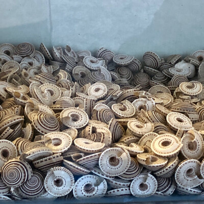 或许有人喜欢看日常吗？喜欢的话我会偶尔发一下*⁂((✪⥎✪))⁂*