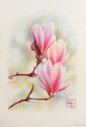 飞乐鸟