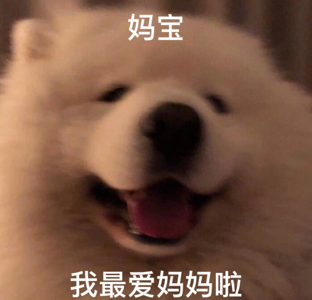 做了几个表情包 有人喜欢的话以后就继续做！۹(๑•̀ω•́ ๑)۶