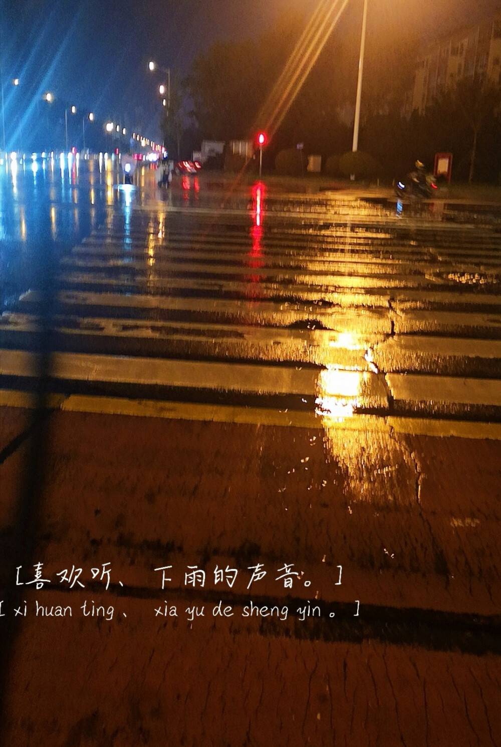 [你不要淋到雨啦、不然你会可爱到发芽。]