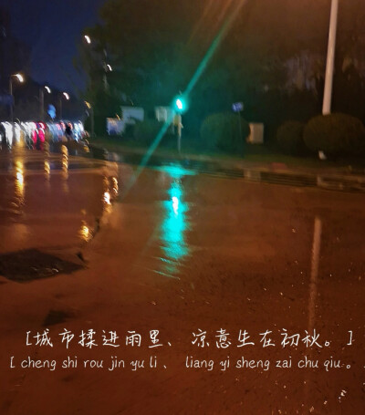 [你不要淋到雨啦、不然你会可爱到发芽。]