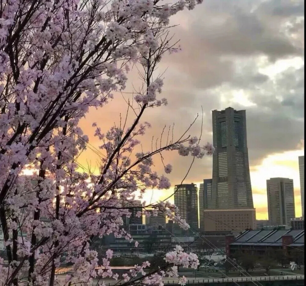 套图｜头像+背景
有些东西，后来人给不了。有些东西，给不了后来人。