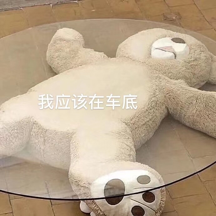 我应该在车底