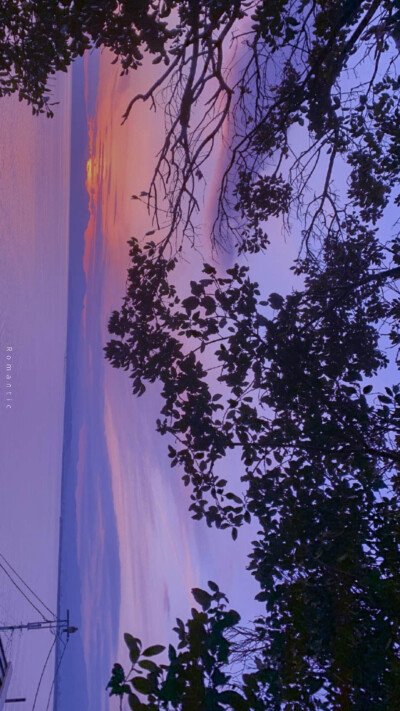 慢慢体会我的极端和浪漫。 ​​
摄影@Romantic百分百