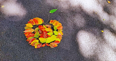 有肉没肉吃一口