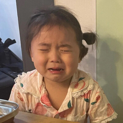 金雪and夏温(是夏温吧？！(｡ì _ í｡)