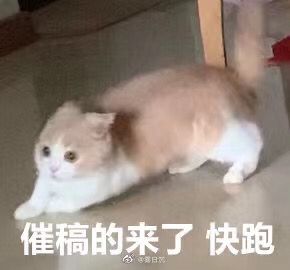 绘画表情