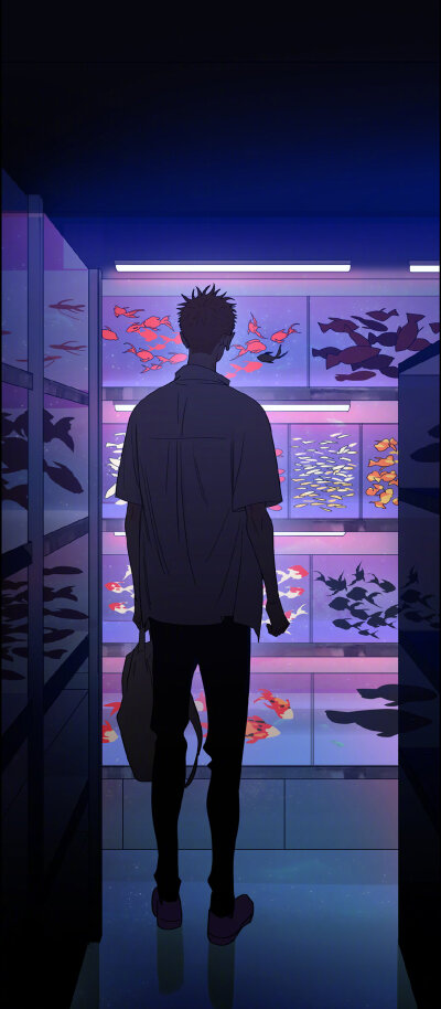19天，SQ