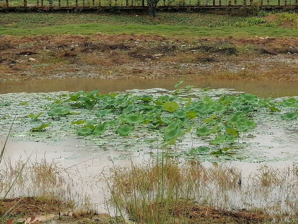 某天下雨