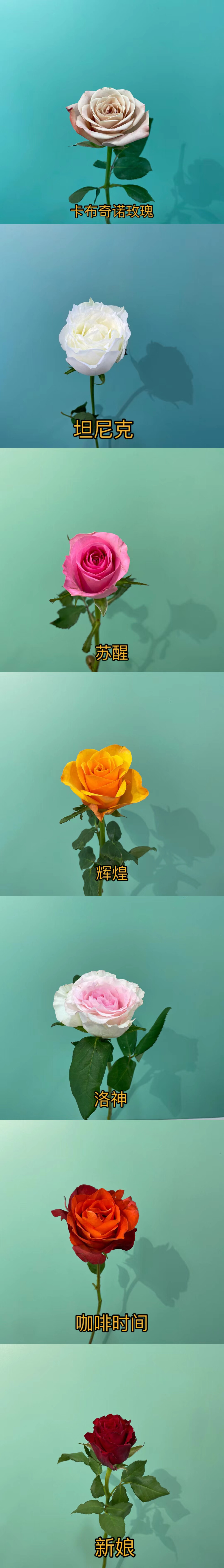 鲜花