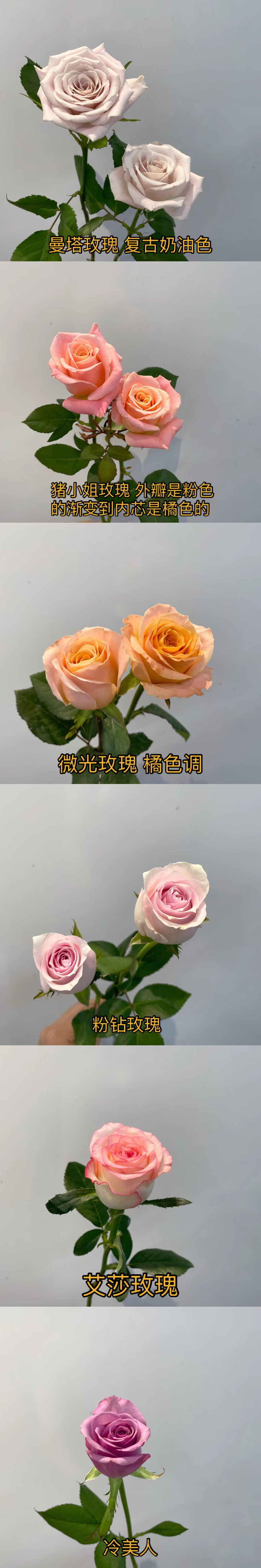 鲜花