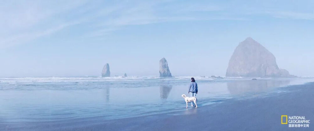 世界狂犬病日
在俄勒冈州西北部的坎农海滩，爱狗餐厅遍布市中心，狗狗也能在海浪中嬉戏。在世界卫生组织的报告中，狂犬病遍布于全世界，平均每10分钟就有1人死于此。世界狂犬病日在每年的9月28日，其设立集合了众多合作者和志愿者，群策群力，希望尽快使狂犬病成为历史。摄影：MARKUS HANKE