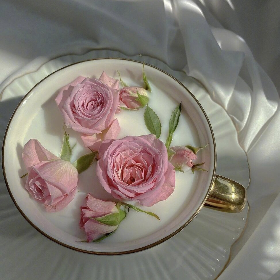 堆糖一婉（优质背景潮图）
不知原作 取之网络 侵权删并致歉。