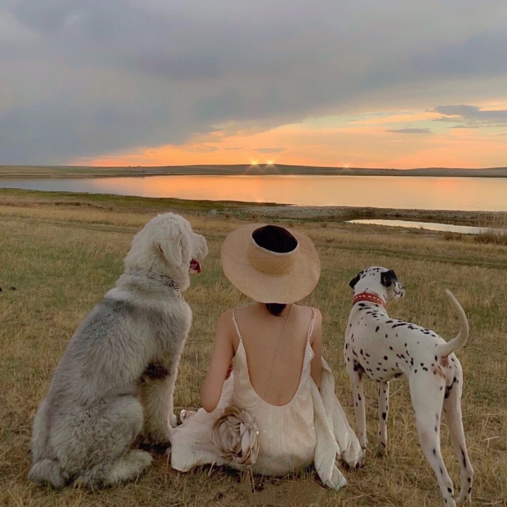 堆糖一婉（优质背景潮图）
不知原作 取之网络 侵权删并致歉。