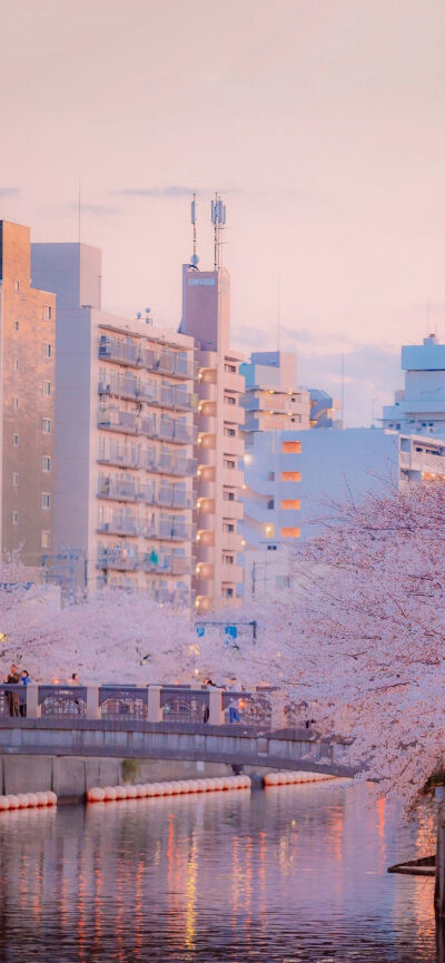 浪漫风景