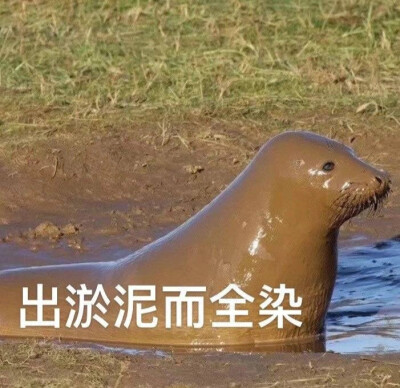 哎嘿
