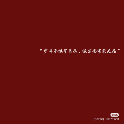 彼方尚有荣光在