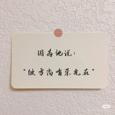 彼方尚有荣光在