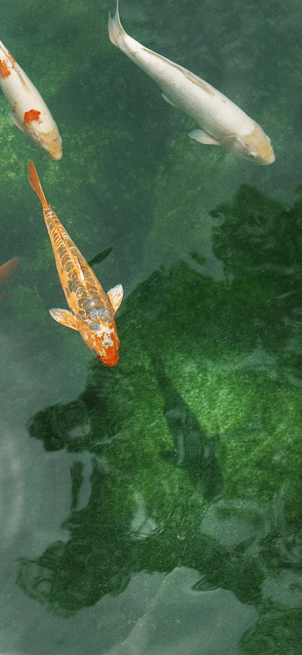 背景素材